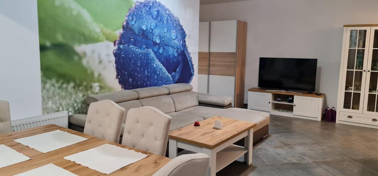 Apartament Fiore Blu นาโวดาริ ภายนอก รูปภาพ